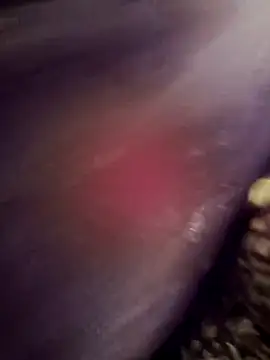 elconsentido19 Webcam show