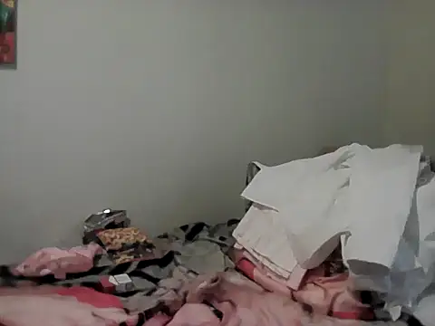 Show Webcam de belgianshantie