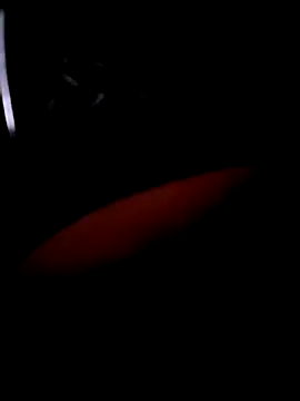 Show webcam de pascalino100