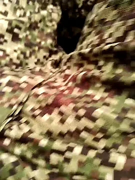 Webkamerová show elconsentido19