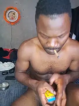 Petrossan Webbikameraesitys