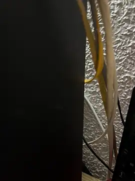 Deltaalex Show Webcam