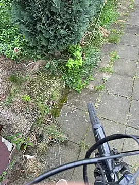 Pokazy przed kamerką – SoftAmjad