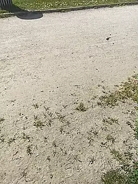 frenchblackc31 Adlı Modelin Web Kamerası Şovu