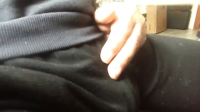 Show de webcam de schwanzi_bear