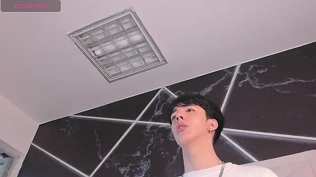 Show webcam de AerumChae