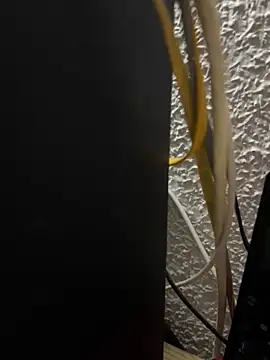 Deltaalex 即時 XXX 聊天