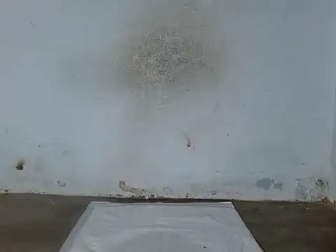 Czat XXX na żywo – Boiboi2x