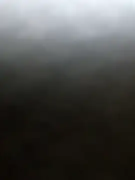 Show webcam de carlossseww