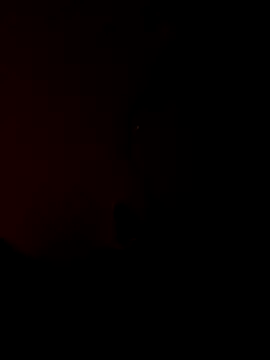 newboygoa Webcamshow