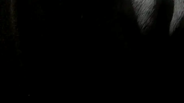 zemm54 Show in webcam