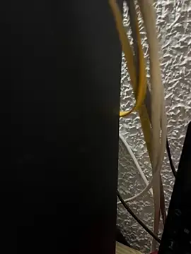 Deltaalex 网络视讯表演