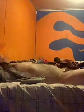 Show webcam de Allinside666