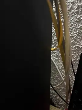 DeltaalexのライブXXXチャット