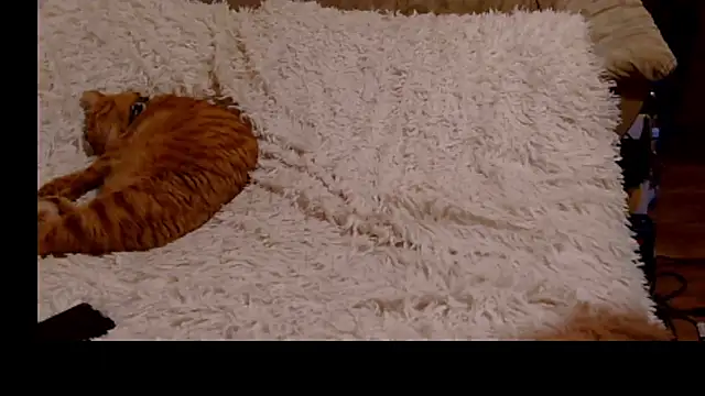 JessicaHolland1 – Live XXX-chat