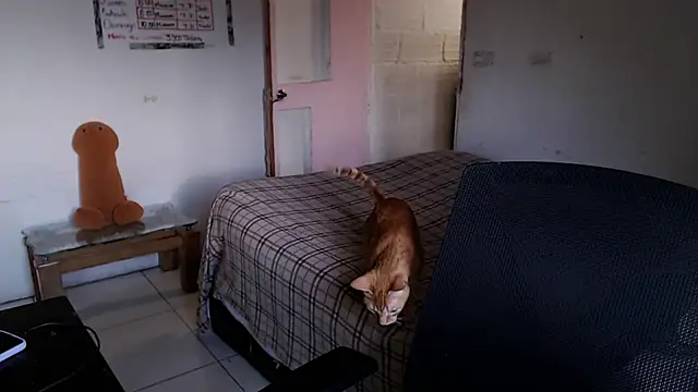 girl_milk2: απευθείας συνομιλία ΧΧΧ