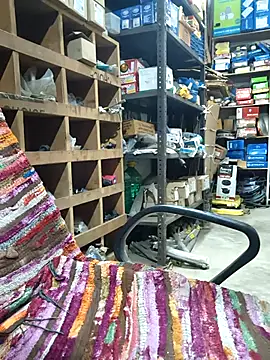 Pokazy przed kamerką – Srmotrs