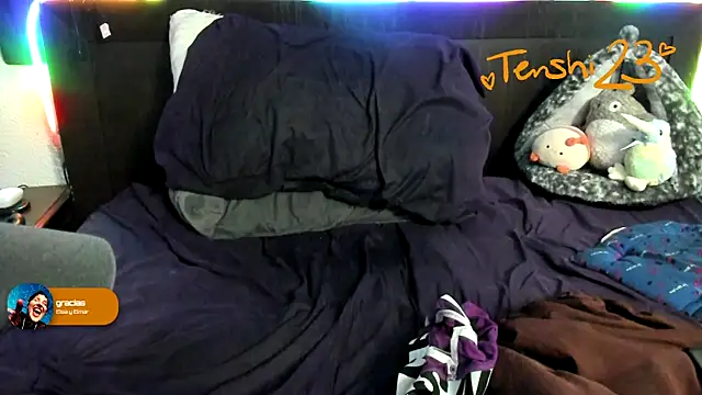 Show webcam de tenshi23strip