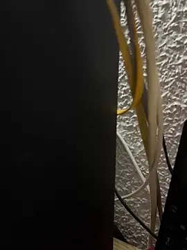 Show Webcam de Deltaalex