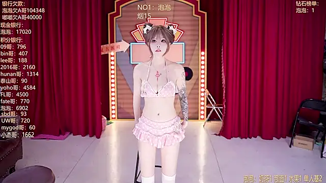 MSN101n Webbikameraesitys