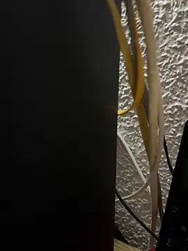 Deltaalex élő XXX-chatje