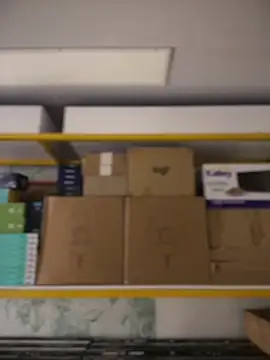 EvaMark_n Webbikameraesitys