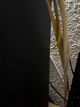 Deltaalex's Live XXX Chat