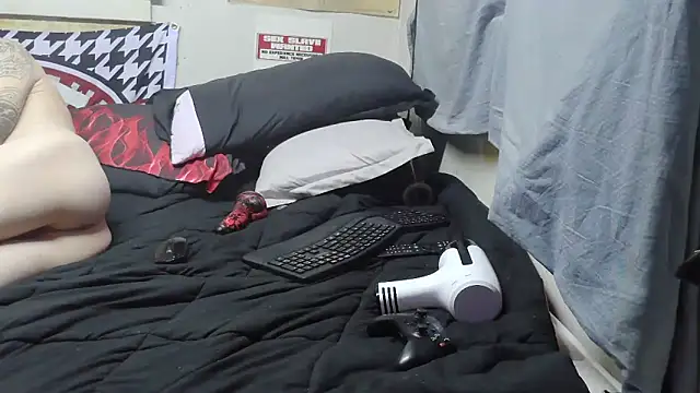 Show webcam de Spotless_Load