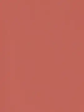 savageebny Webcam-Show