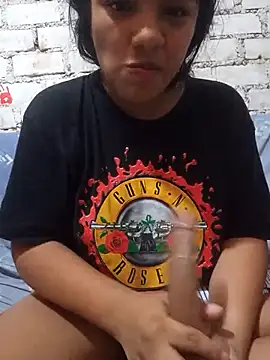 sivi22n Webbikameraesitys