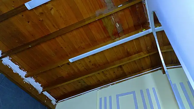 ALANNFERRER: вебкам-шоу