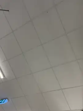 savageebny Webcam-Show