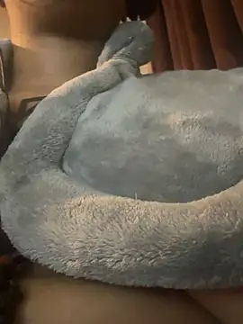 nickytheehawtie Live XXX-chat