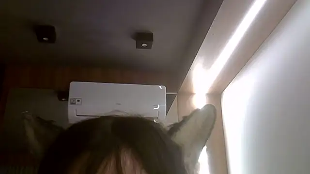 SkinnyKitten – Kamerová šou