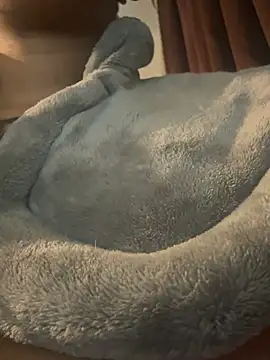 Chat +18 de nickytheehawtie ao vivo