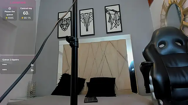 adams_bobbyn Webbikameraesitys