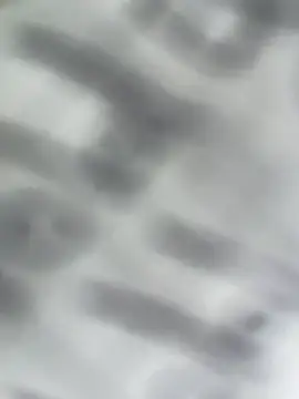 Show webcam de diegoand0911