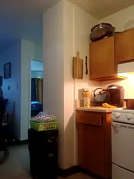 ReallyReallyReal Show in webcam