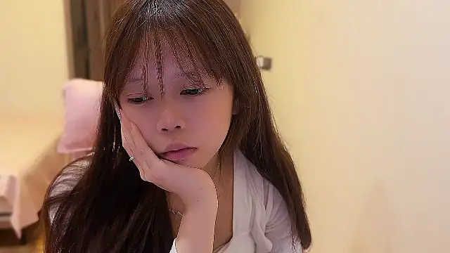 xiaobaozi-520n Webbikameraesitys