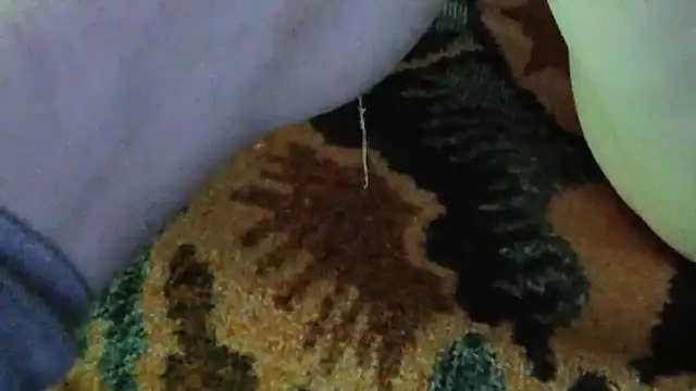 cumloverboyxx69 Obrolan Langsung XXX