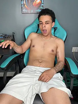 l-laross webkamerás műsora