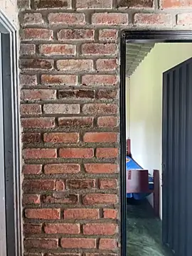 Jacksonfranco Live XXX-chat