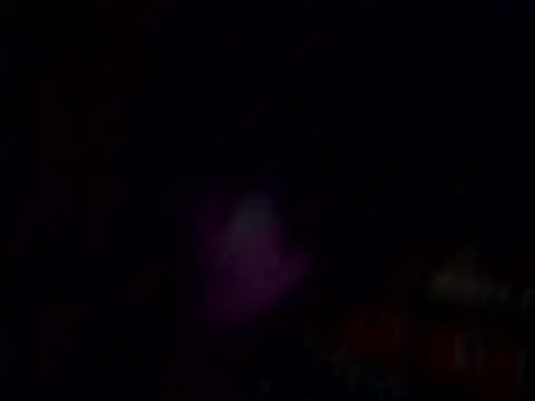 Wild_Vassu 现场XXX聊天