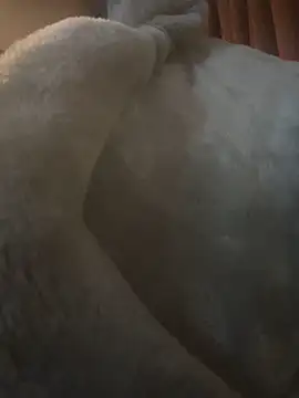 Sembang XXX Secara Langsung nickytheehawtie