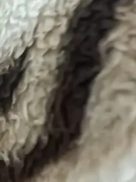 عرض كام Erkegin001