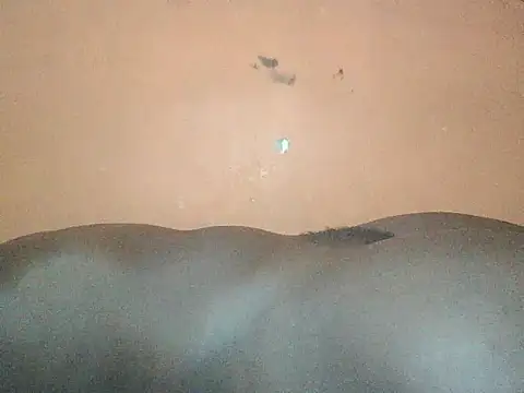 Sexyass100: онлайн-секс-чат