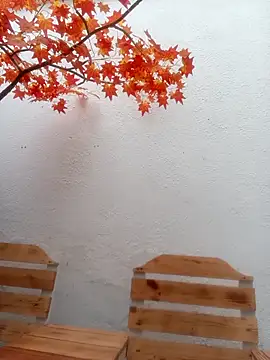 Dante_Knox Chat XXX in diretta