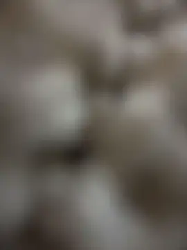 MommmyYummy Adlı Modelin Canlı XXX Sohbeti