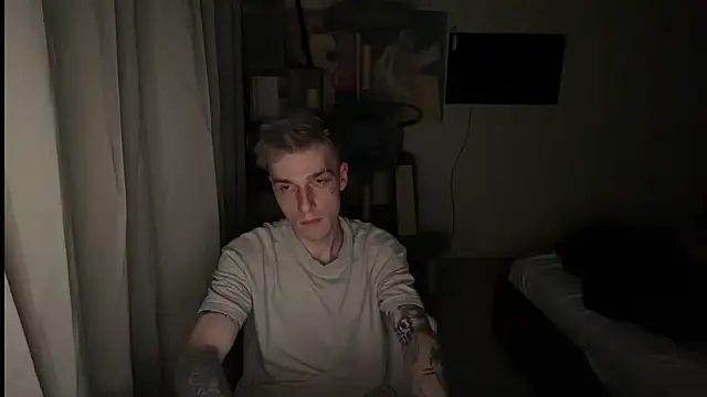 Show de webcam de davesinner