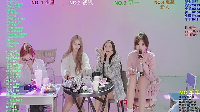 ZZ00033S Show Webcam